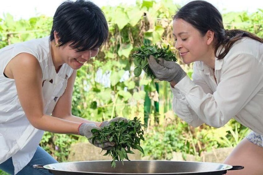 DIY Roasting tea leaves