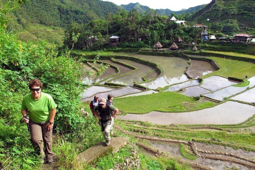 Rice paddies of Batad