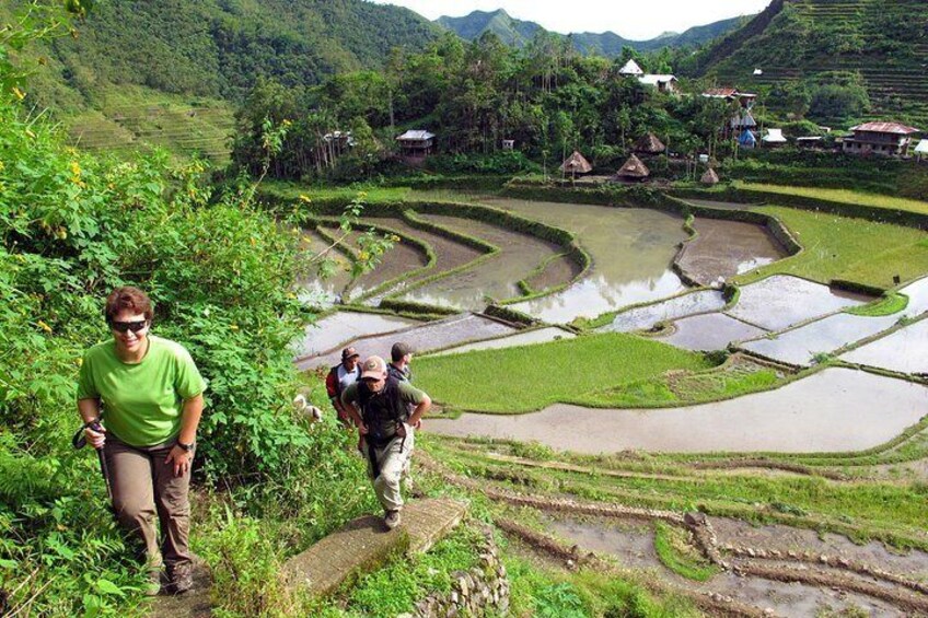 Rice paddies of Batad