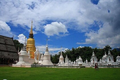 Private Chiang Mai Temple Tour with Doi Suthep and Wat Umong