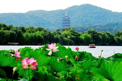 Excursión privada de un día a Hangzhou desde Shanghái en tren bala