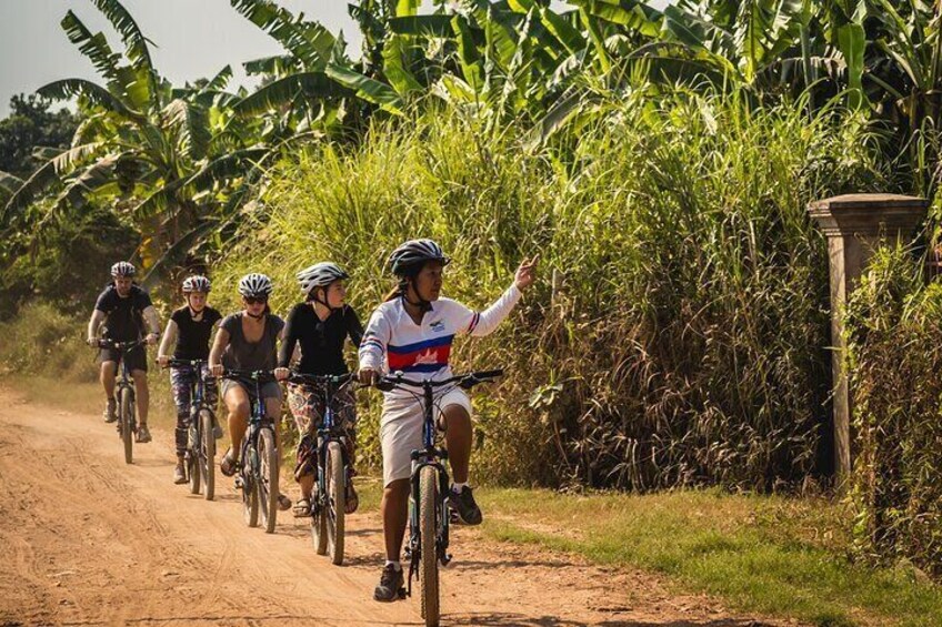 Enjoy the stunning views of lush banana plantations.