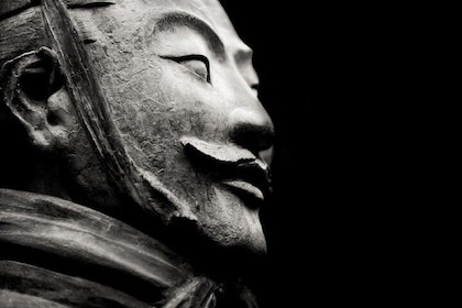 Private Customisable Terracotta Warriors Day Tour with Options