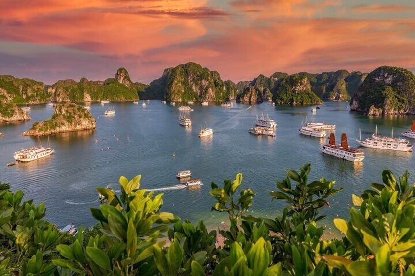 BEST SELLER- 3 Day/2 Night Cruise with All-Inclusive in Halong