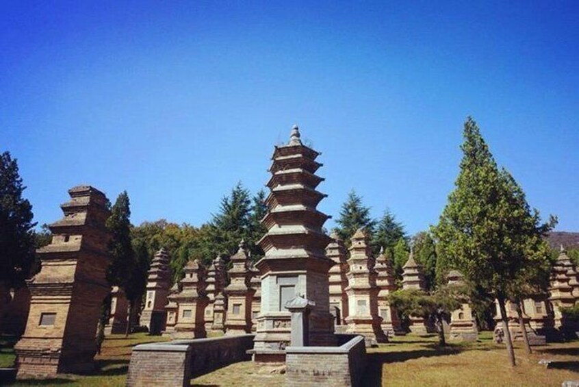 Form Xi'an To Luoyang Longmen Grottoes & Shaolin Temple Day Tour by Bullet Train
