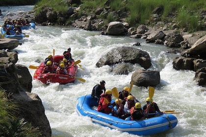 Trishuli River Rafting - Day Trip