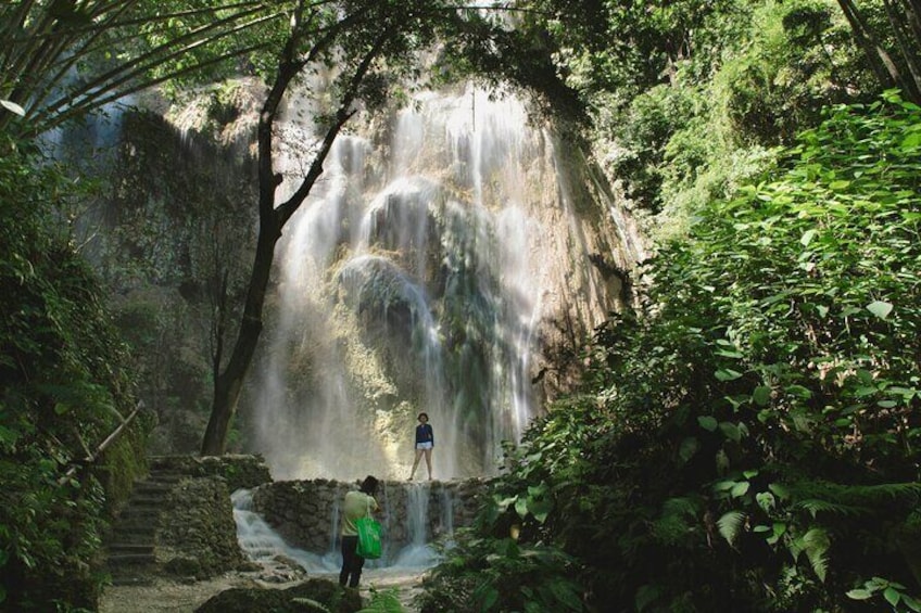 Whale Shark Encounter and Tumalog Waterfalls Tour