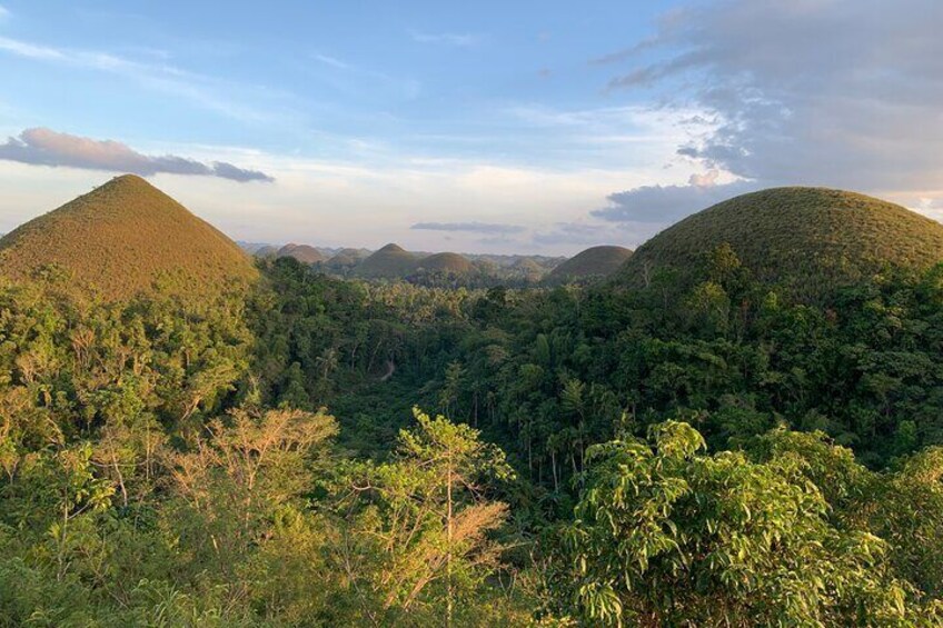 A daytour to Bohol Chocolate Hills & Tarsier viewing from Cebu