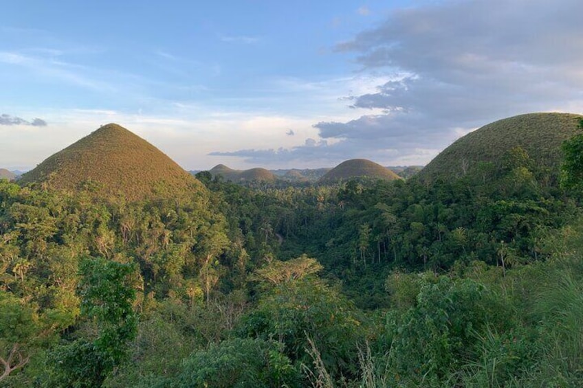 A daytour to Bohol Chocolate Hills & Tarsier viewing from Cebu