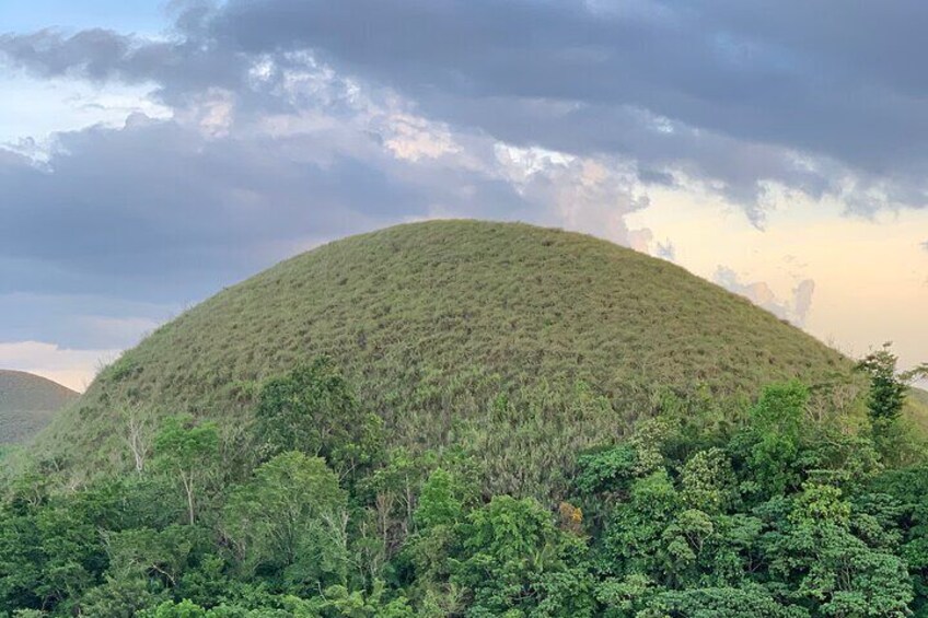 A daytour to Bohol Chocolate Hills & Tarsier viewing from Cebu