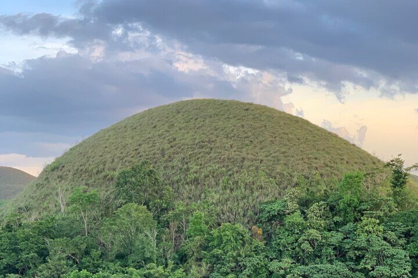 A daytour to Bohol Chocolate Hills & Tarsier viewing from Cebu