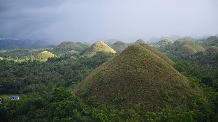 A daytour to Bohol Chocolate Hills from Cebu