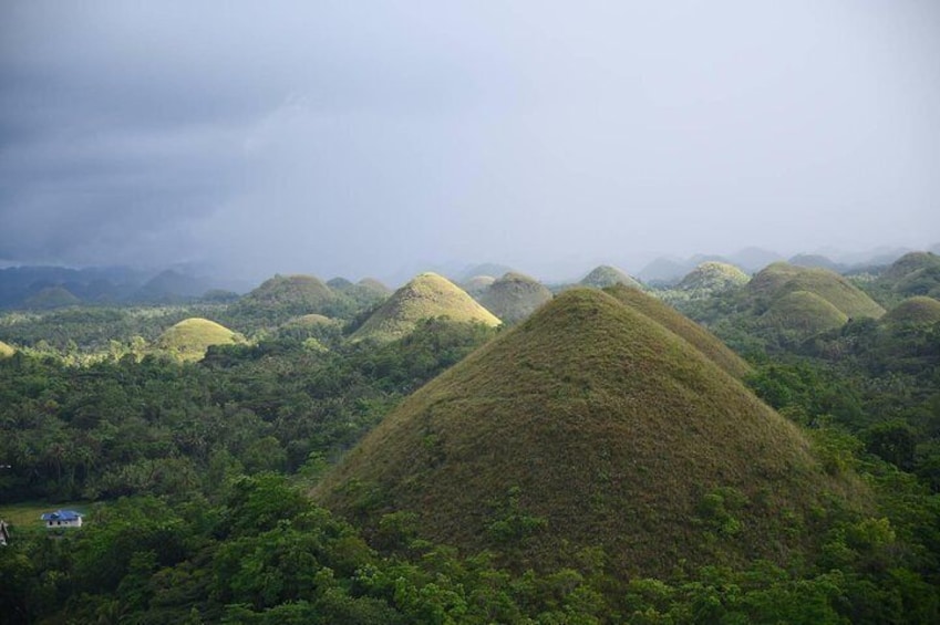 A daytour to Bohol Chocolate Hills from Cebu