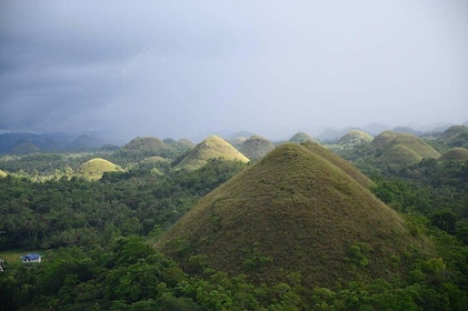 A daytour to Bohol Chocolate Hills from Cebu