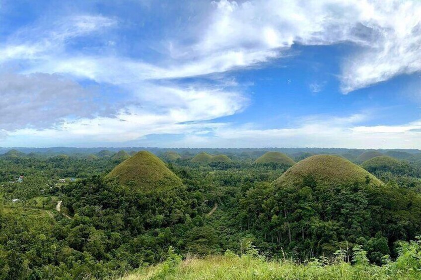 Bohol Chocolate Hills & Tarsiers with roundtrip ferry from Cebu
