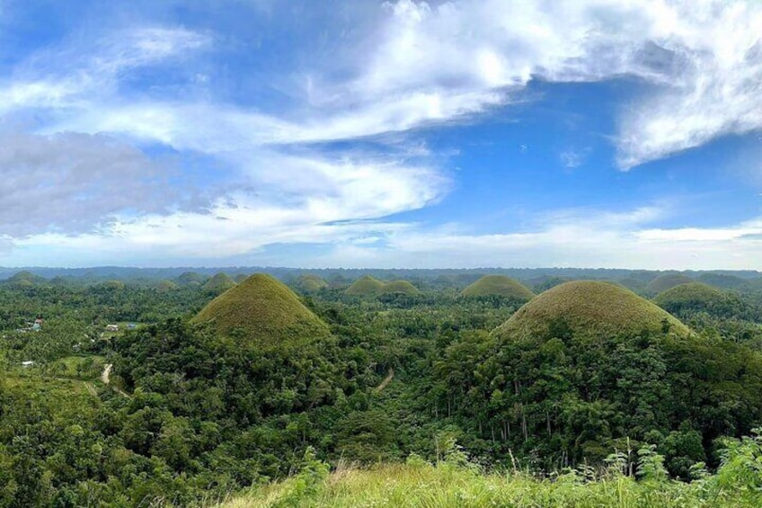 Bohol Chocolate Hills & Tarsiers with roundtrip ferry from Cebu