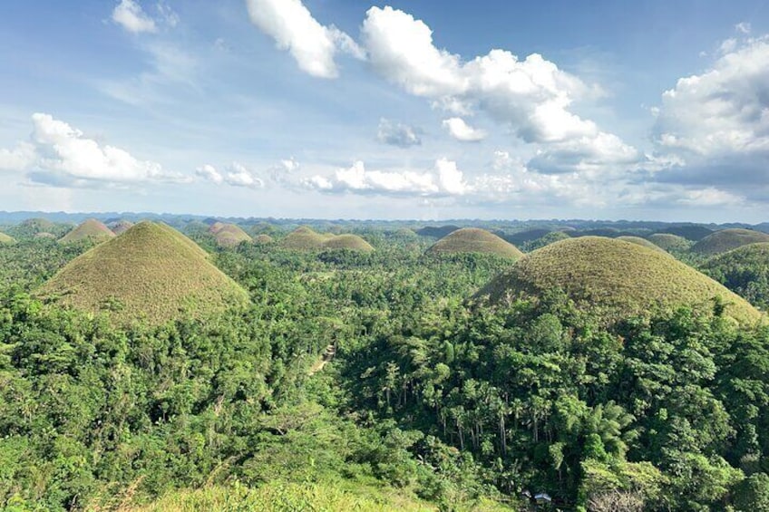 A daytour to Bohol Chocolate Hills & Tarsier viewing from Cebu