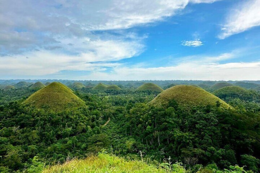 Bohol Chocolate Hills & Tarsiers with roundtrip ferry from Cebu