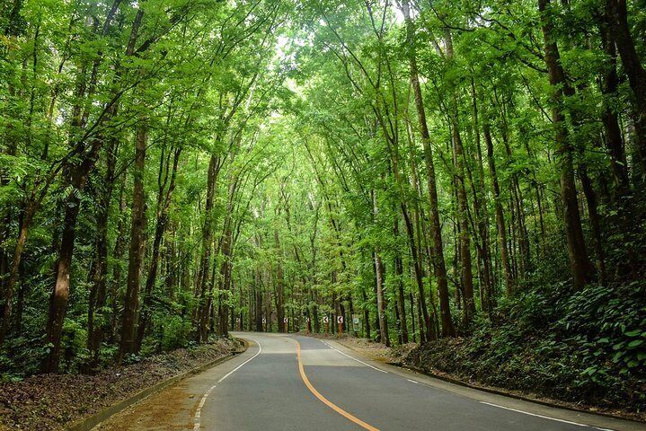 bohol tour from mactan