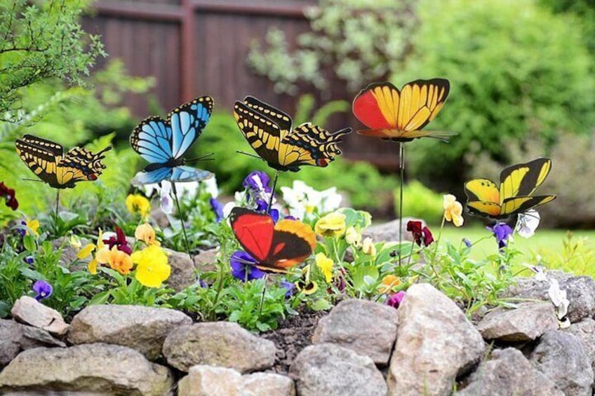 Bohol Butterfly Garden