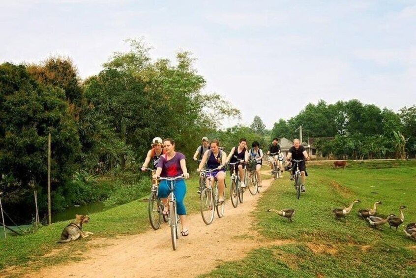 Biking in Ninh Binh