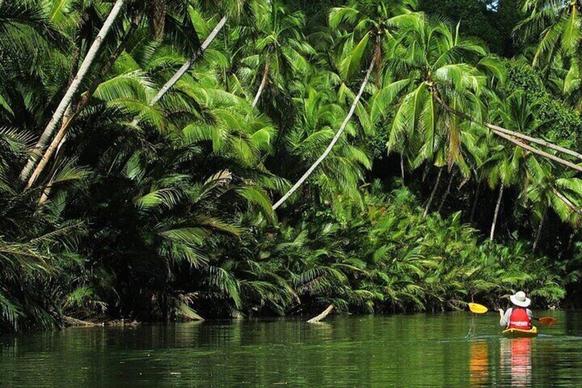 kayaking in the river