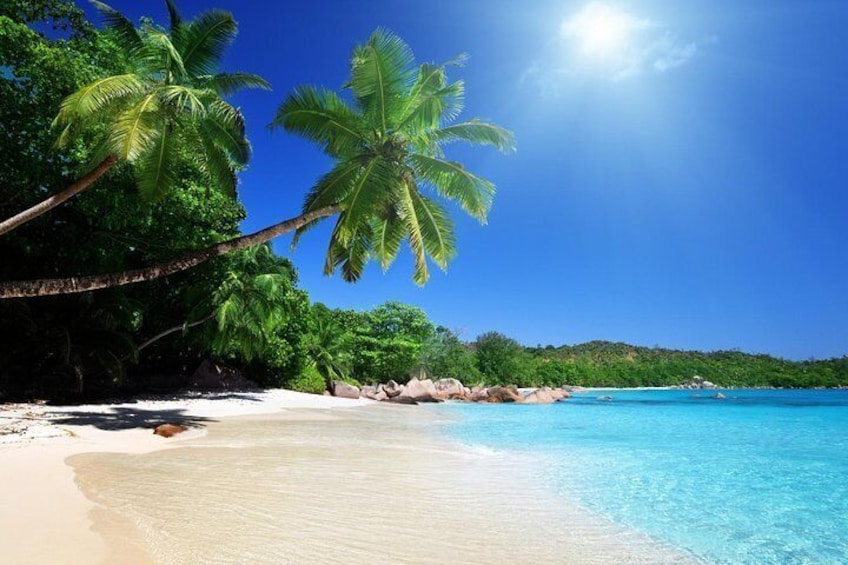 Bohol1