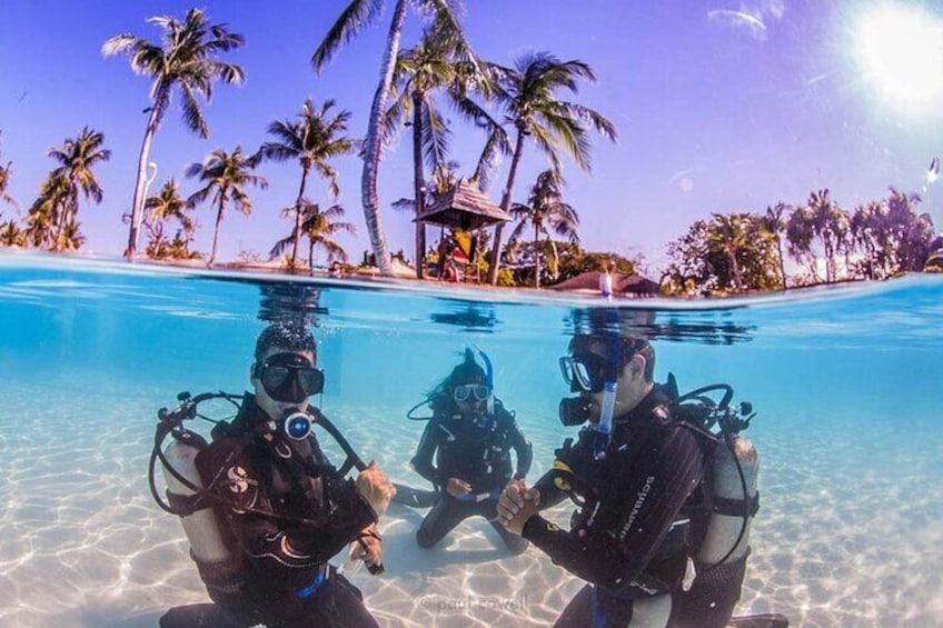 Try and Discover scuba diving