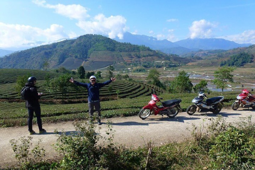 Driving motorbike through the tea plantation in Tan Uyen district