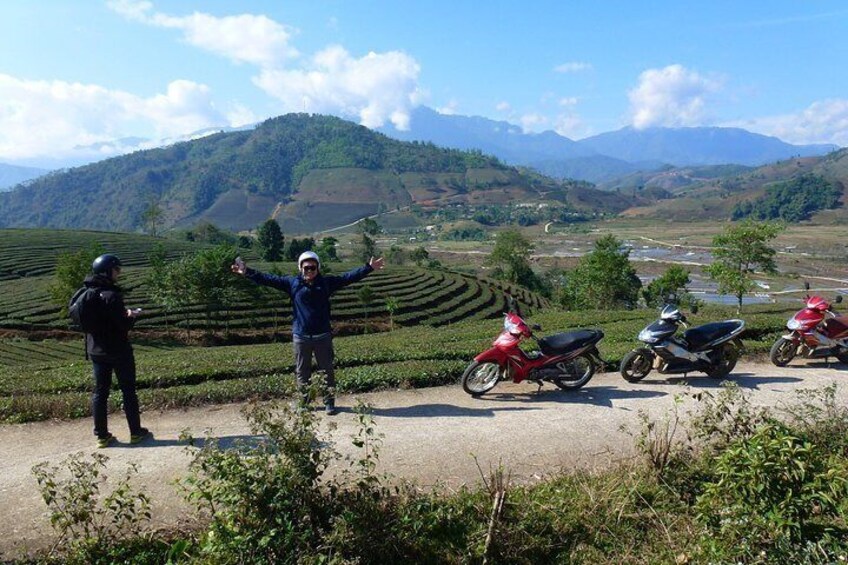 Driving motorbike through the tea plantation in Tan Uyen district