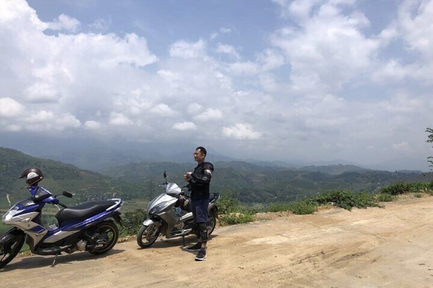 Tan Uyen Tea Farm