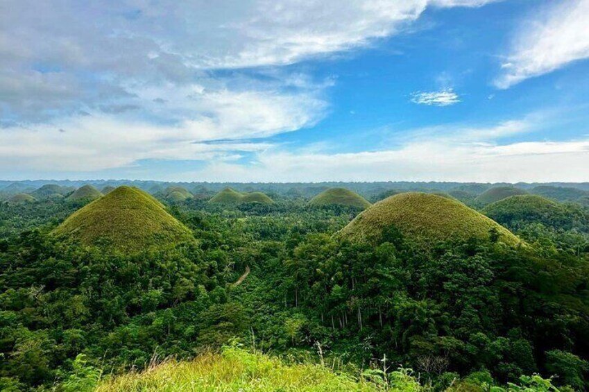  Bohol Chocolate Hills & Tarsiers with roundtrip ferry from Cebu