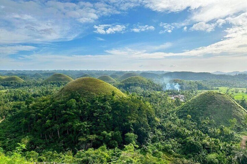 Bohol Chocolate Hills & Tarsiers with roundtrip ferry from Cebu