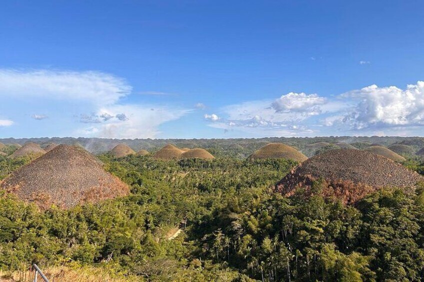  Bohol Chocolate Hills & Tarsiers with roundtrip ferry from Cebu