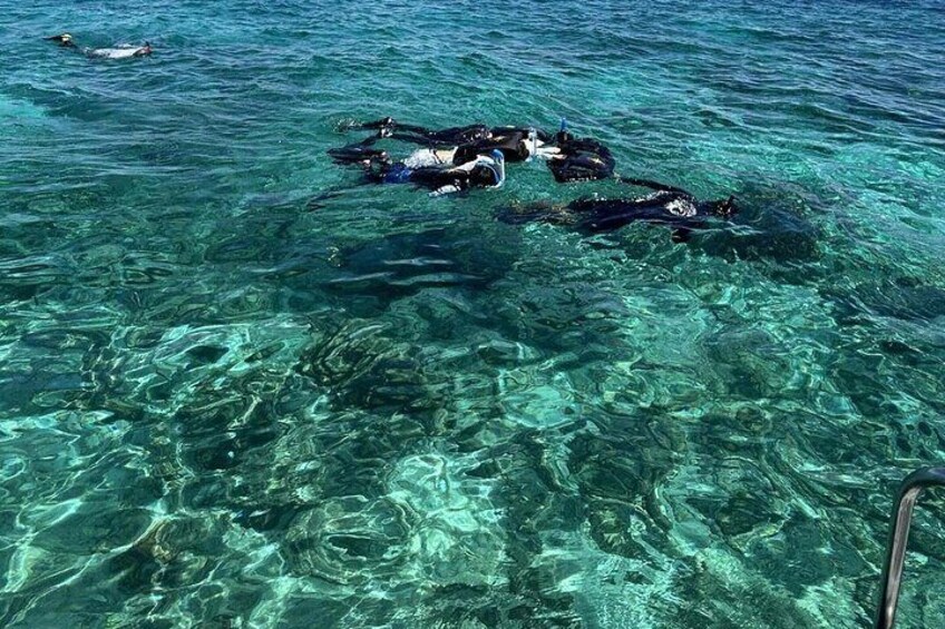 Half day tour with Snorkel at Sancturary and Sulpa island 