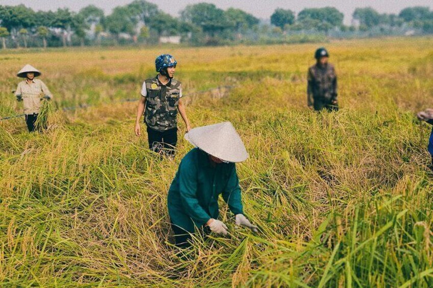 Hanoi Countryside Motorbike Tour 