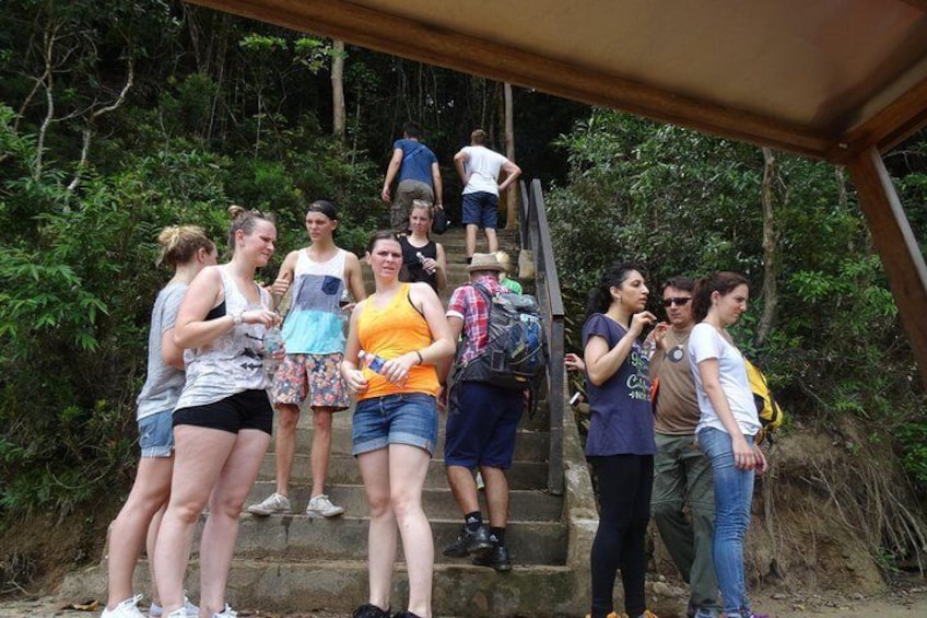 Ready for the Canopy Walkway