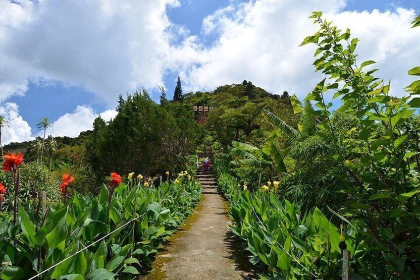 Cameron Highlands Private Full Day Tour