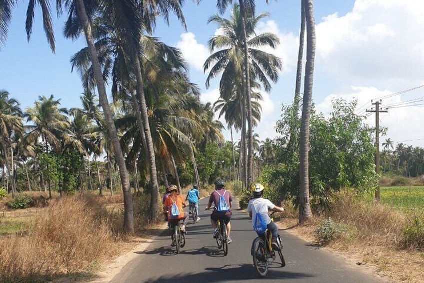 BLive Electric Bike Tours – Village Vistas of Benaulim