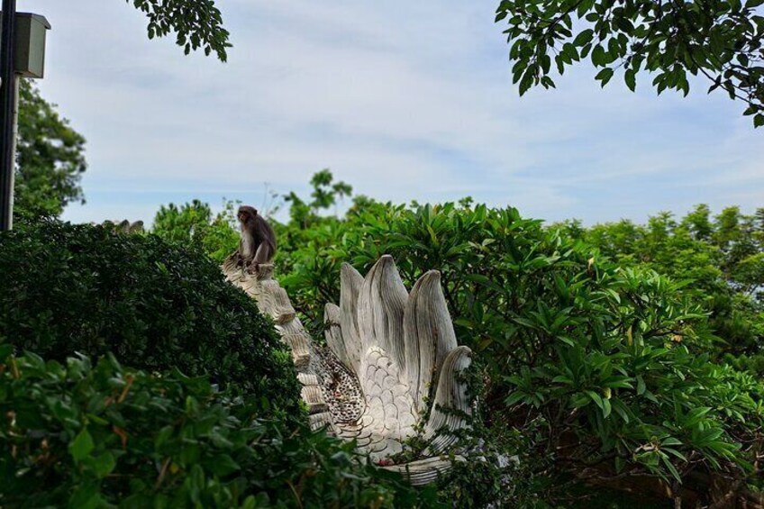 Marble Mountain and Lady Buddha from Hoi An or Da Nang