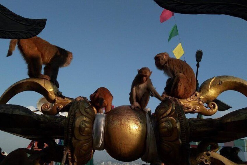 Swayambhu, famous as Monkey Temple.