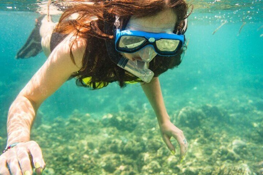 Snorkel in the crystal waters in the criminally underrated Borneo marine life