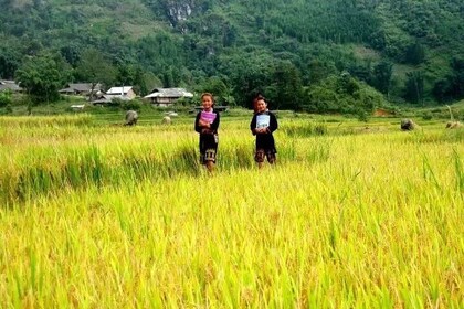 Sapa tour 3 days - Easy trekking and homestay with ethnic mimority people