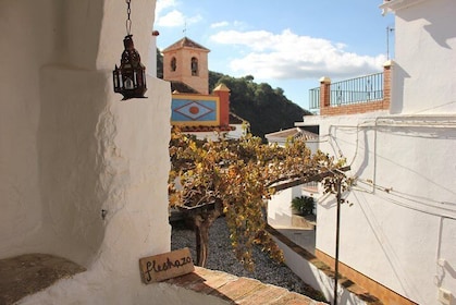White Villages Tour in the Nerja area: Small-Group Tour and Lunch