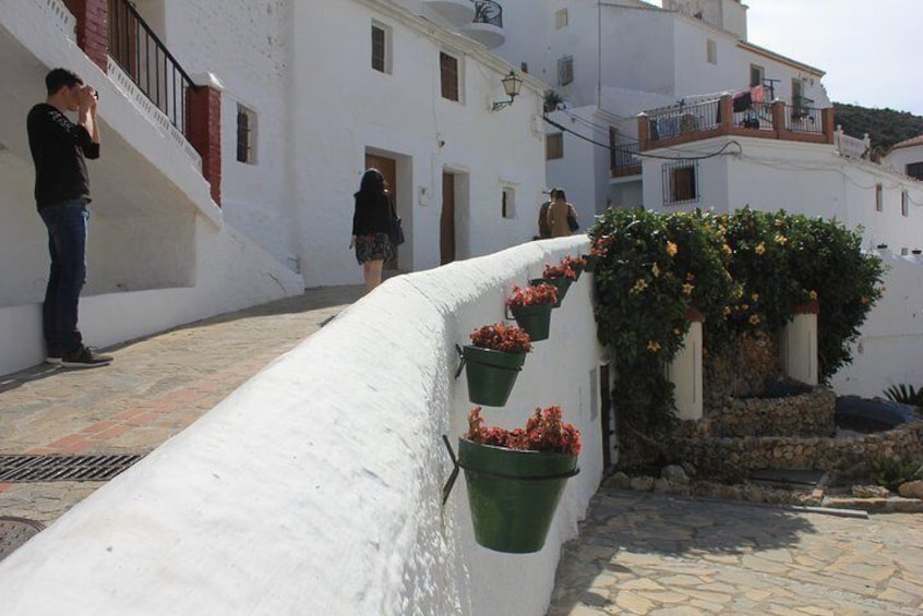 Mudejar Route and White Villages Small-Group Tour with Lunch