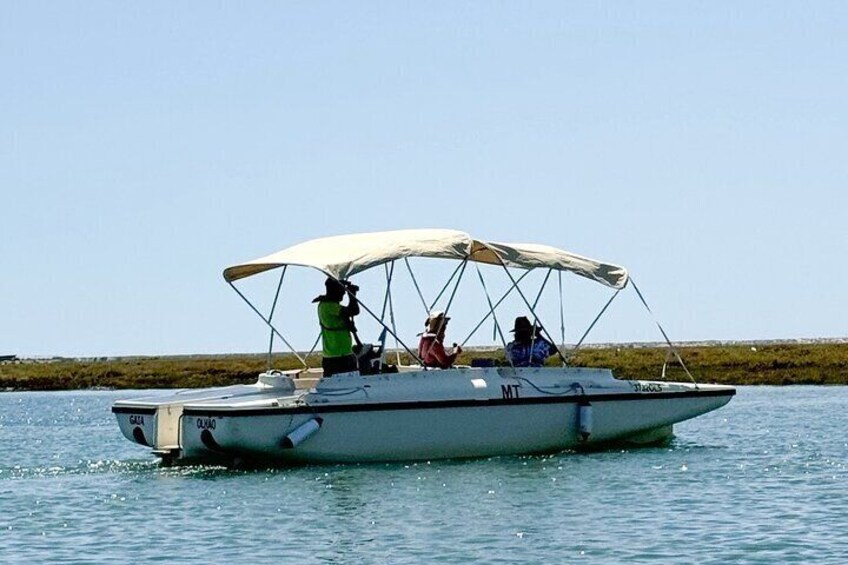 Eco Boat Tour in the Ria Formosa Lagoon from Faro