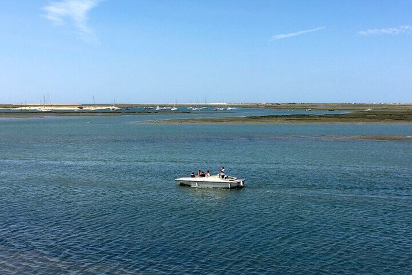 Enjoy the surrounding nature of the beautiful Ria Formosa on an eco-friendly boat tour. 