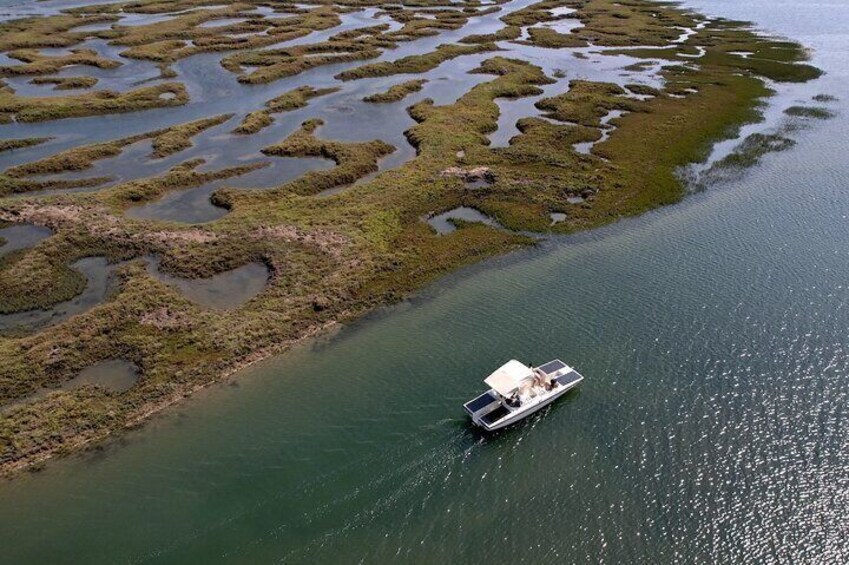 Eco boat touring the Ria Formosa lagoon