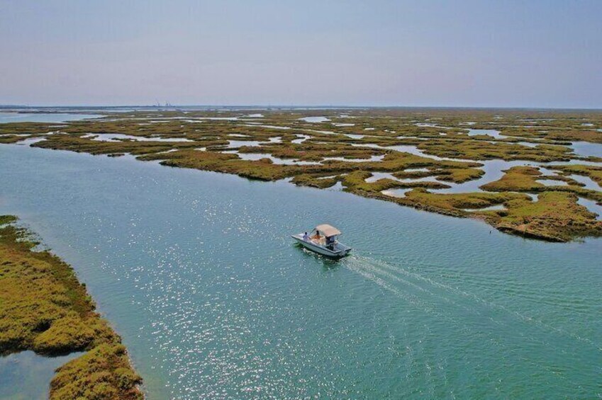 Eco Boat Tour in the Ria Formosa Lagoon from Faro