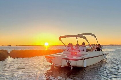 Excursion en Bateau au Coucher du Soleil sur la Ria Formosa